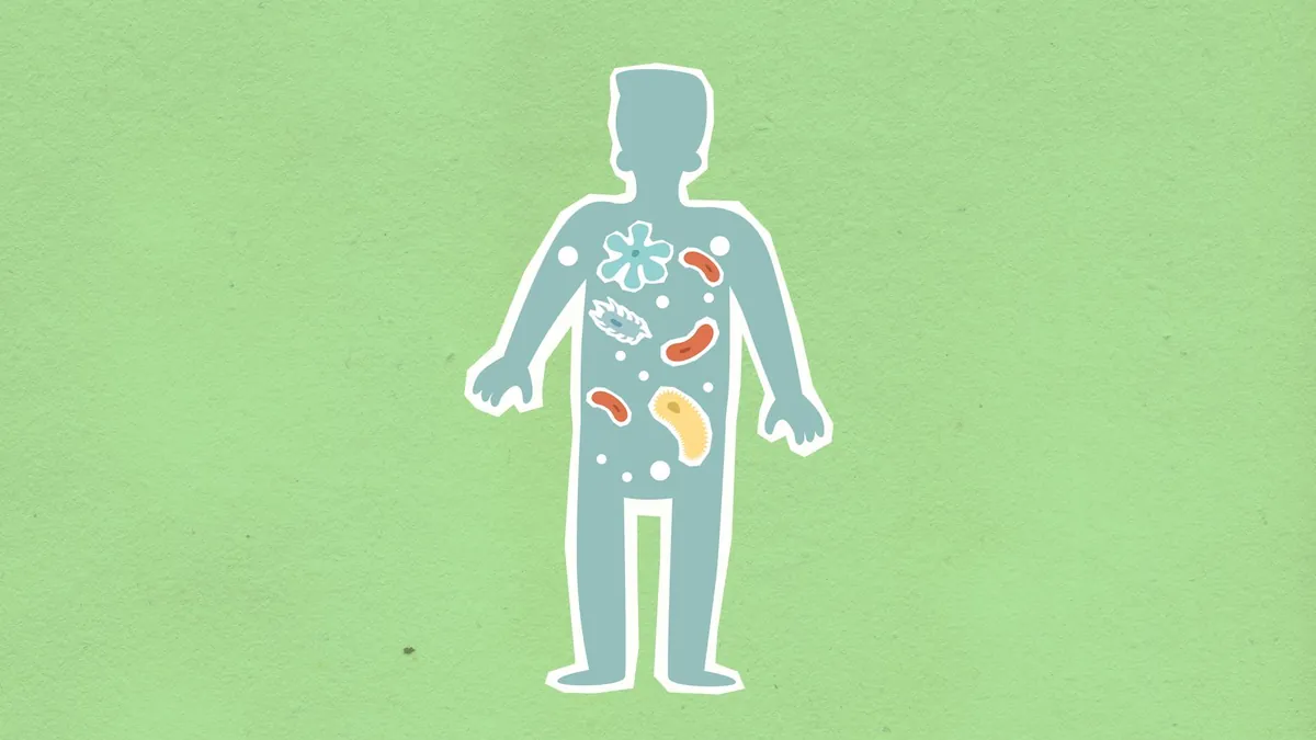 Unlock Your Gut Health: Probiotics, Prebiotics, and Your Microbiome Explained