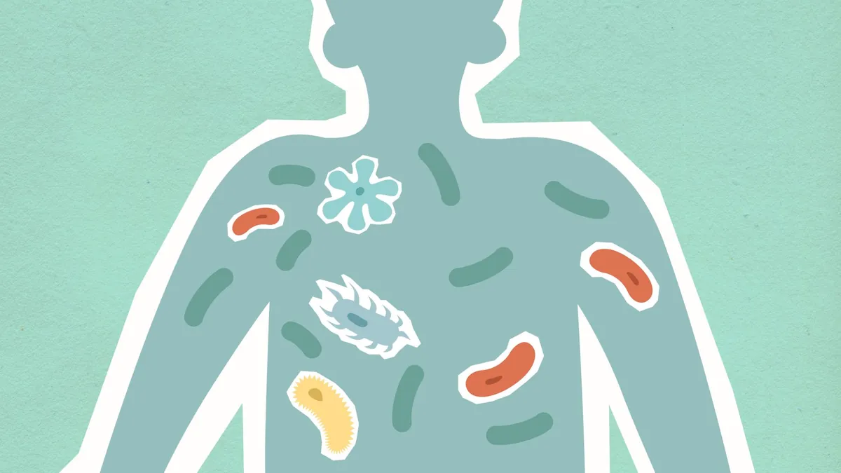 Boost Your Gut Microbiome: The Key to Better Health & Digestion