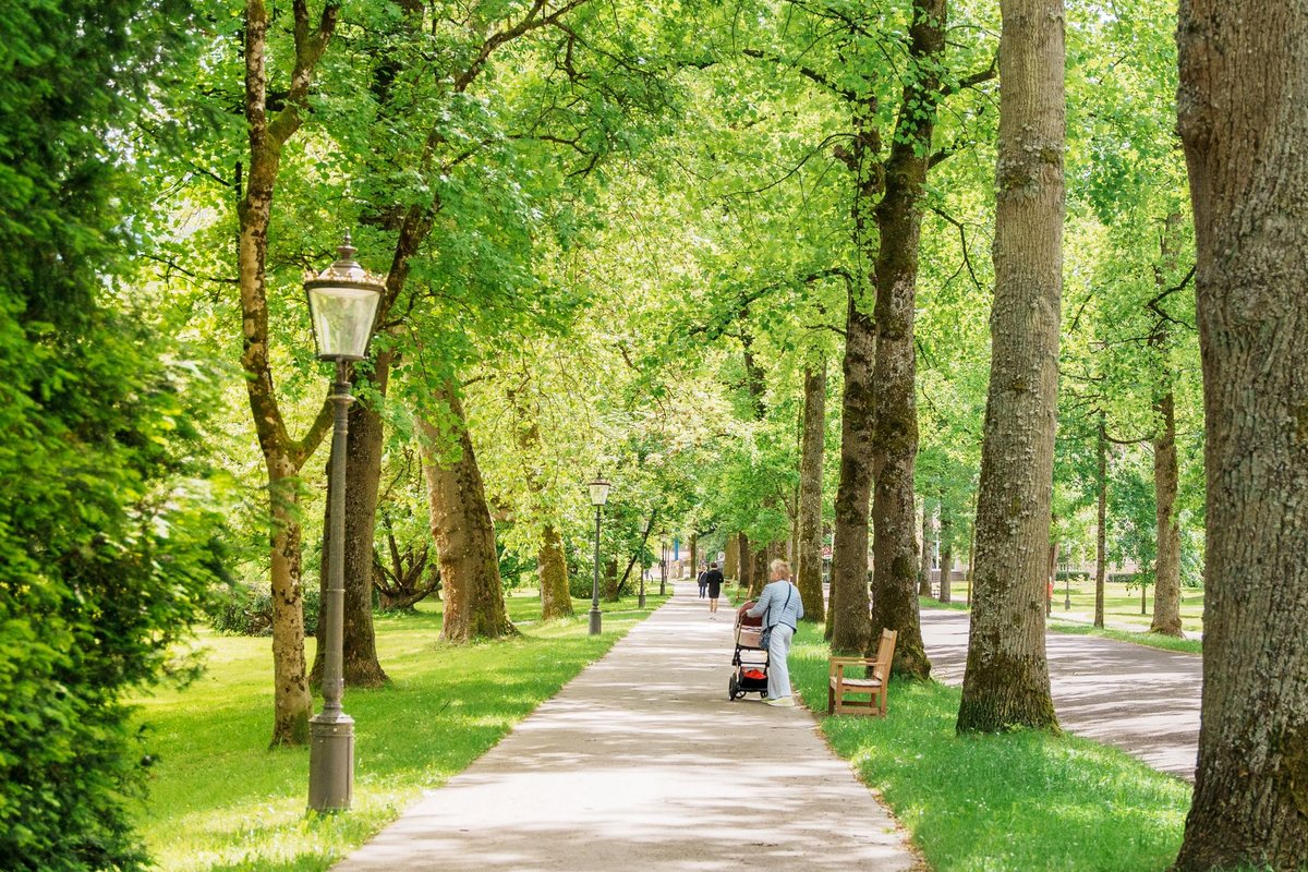A woman in comfortable athletic wear walking down a tree-lined park path in sunny weather.